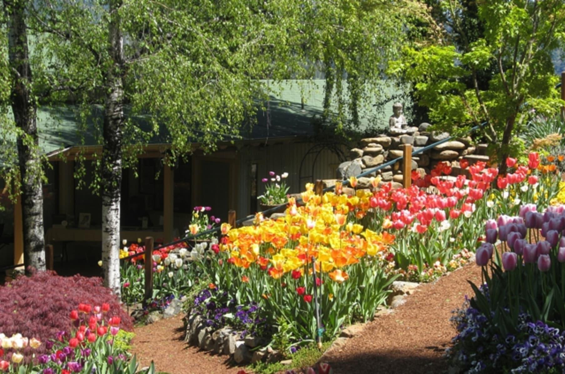Creating Yogananda Gardens | Indiegogo
